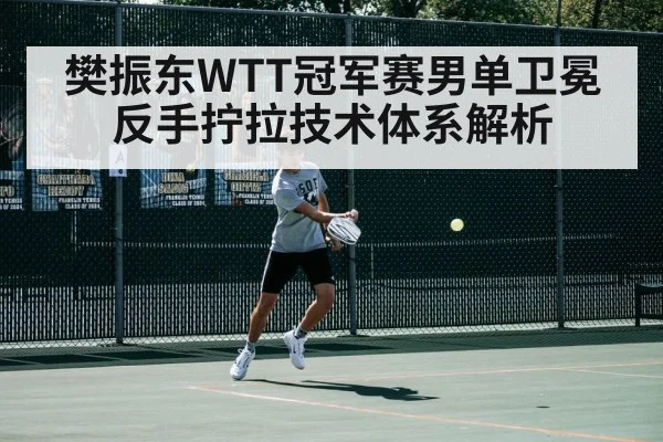 樊振东WTT冠军赛男单卫冕反手拧拉技术体系解析